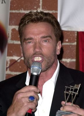 Arnold Schwarzenegger 85116