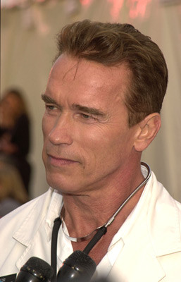 Arnold Schwarzenegger 85122