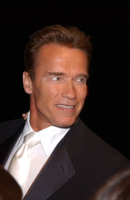 Arnold Schwarzenegger 85137
