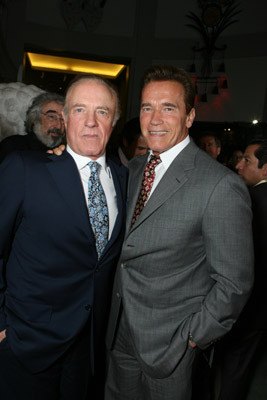 Arnold Schwarzenegger 85169