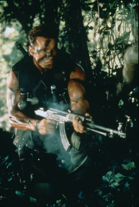 Arnold Schwarzenegger 85178