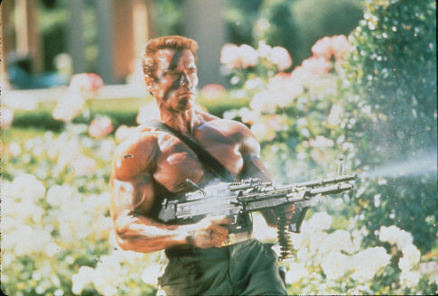 Arnold Schwarzenegger 85179