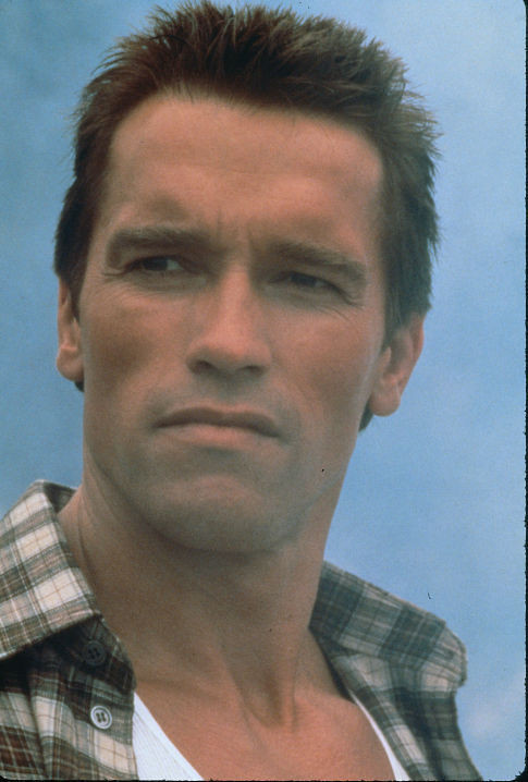Arnold Schwarzenegger 85185