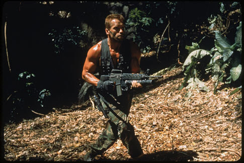 Arnold Schwarzenegger 85189