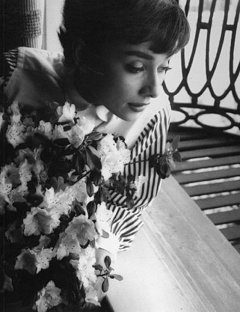 Audrey Hepburn 75791