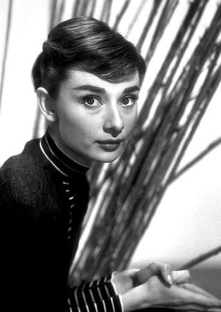Audrey Hepburn 76029