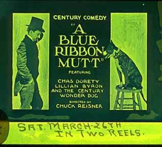 A Blue Ribbon Mutt 13912