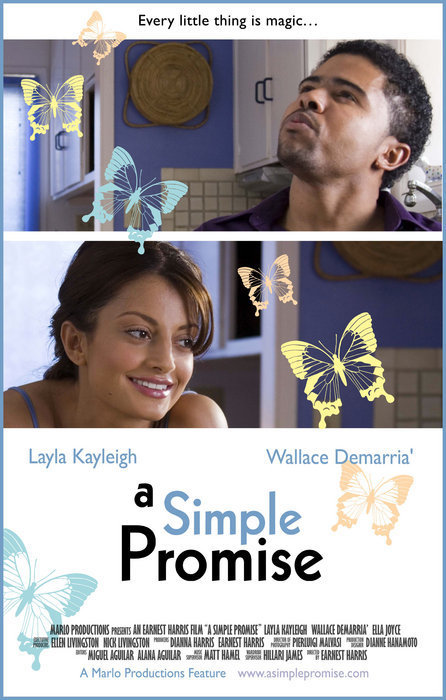 A Simple Promise 118419
