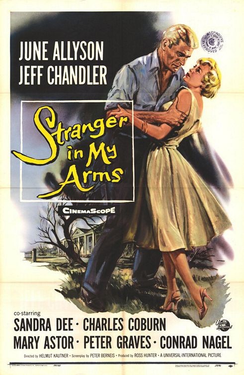 A Stranger in My Arms 146828