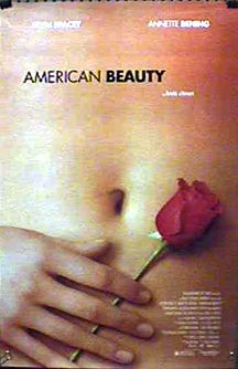 American Beauty 13754