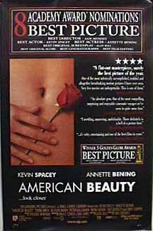 American Beauty 13756