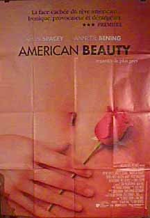 American Beauty 13764