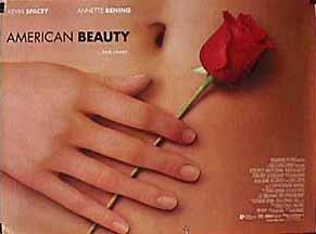 American Beauty 13766