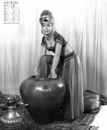 Barbara Eden 126639
