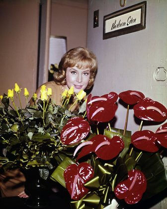 Barbara Eden 126643