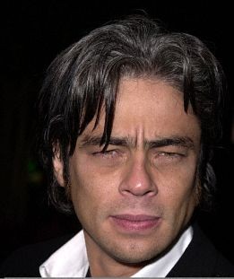 Benicio Del Toro 125870