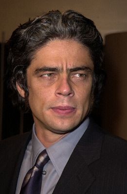 Benicio Del Toro 125873