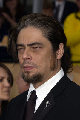 Benicio Del Toro 125903