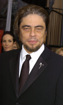 Benicio Del Toro 125904