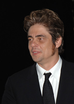 Benicio Del Toro 125913