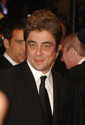 Benicio Del Toro 125914