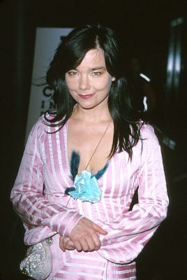 Björk 180733