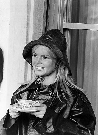 Brigitte Bardot 500