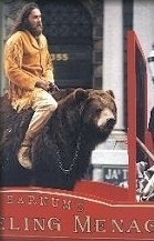 Brody the Bear 259375