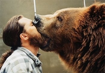 Brody the Bear 259377