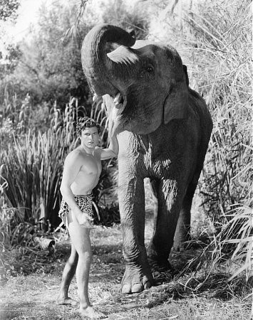 Buster Crabbe 213089