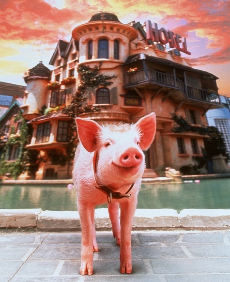 Babe: Pig in the City 34688