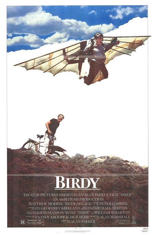 Birdy 143107