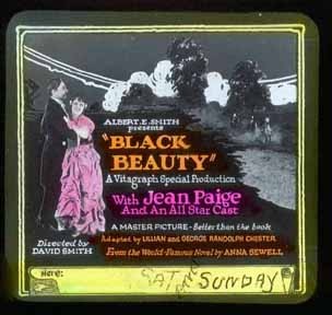 Black Beauty (1921/I) 3474