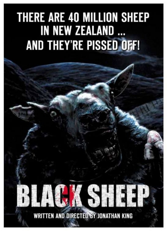 Black Sheep 134560