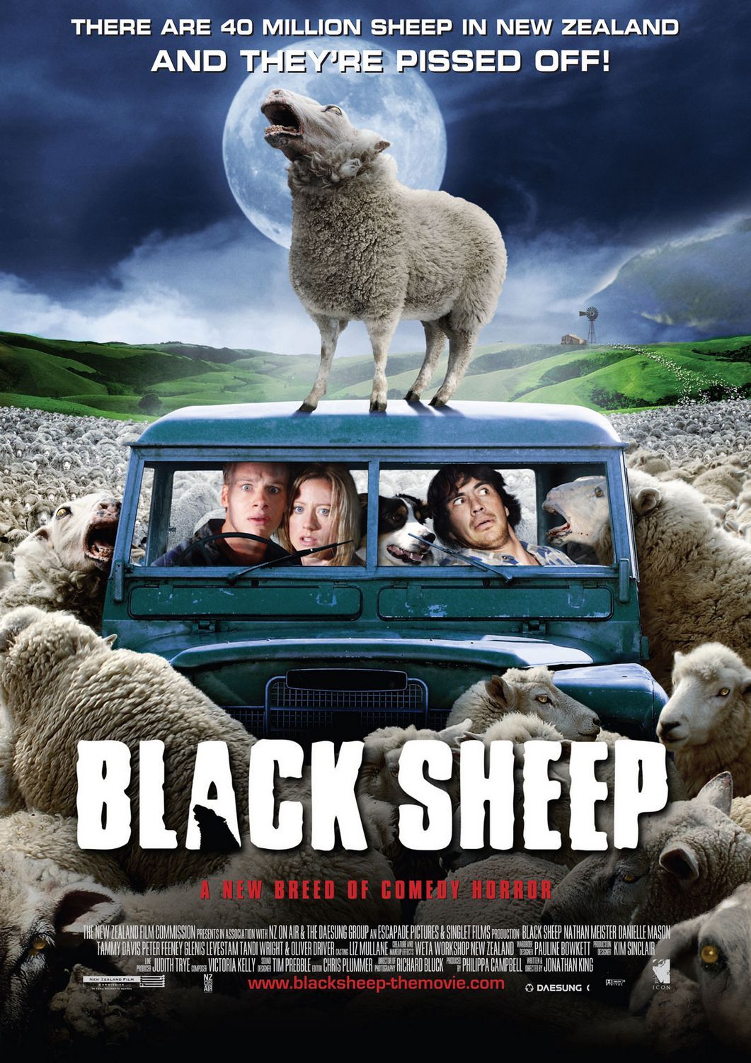 Black Sheep 134561