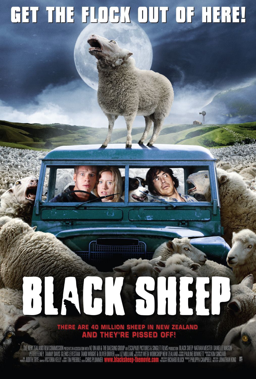 Black Sheep 134562
