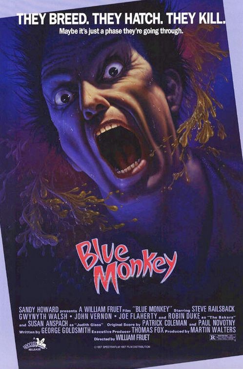 Blue Monkey 146951