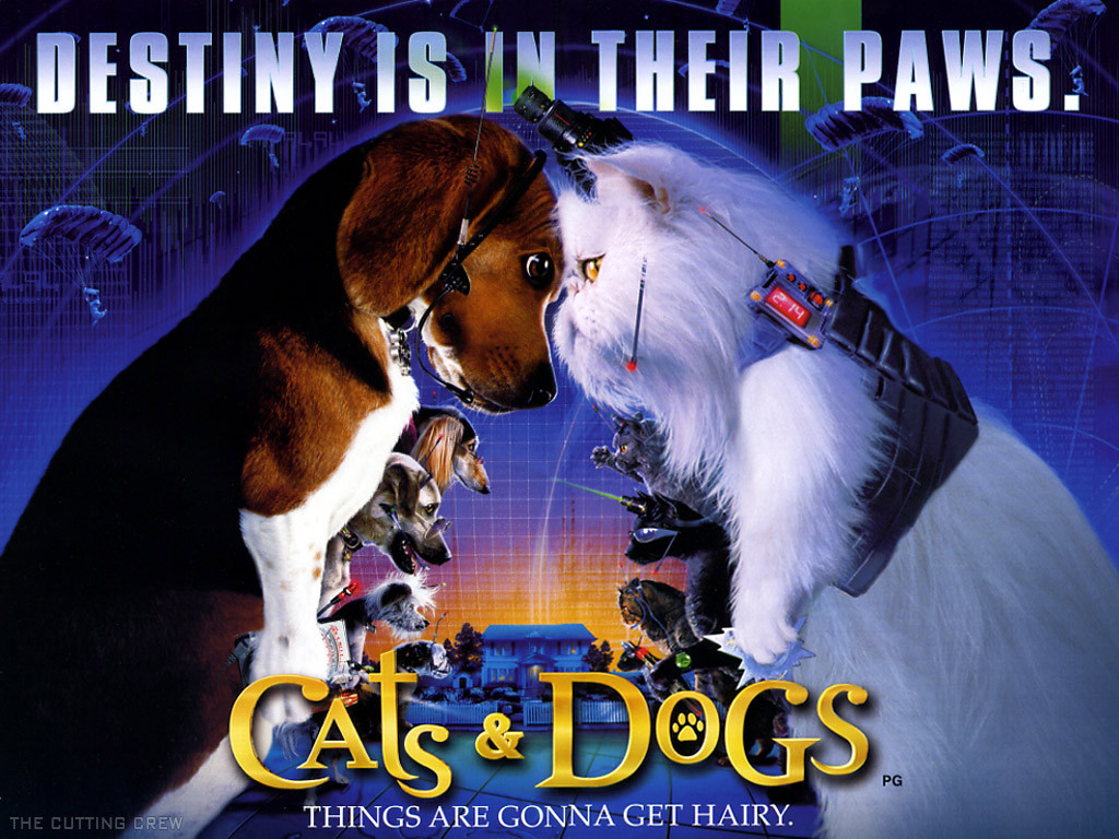 Cats & Dogs 152355