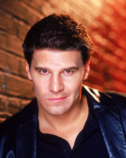 David Boreanaz 135717