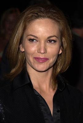 Diane Lane 95545