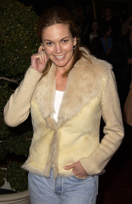 Diane Lane 95547