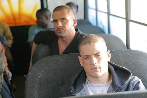 Dominic Purcell 332046