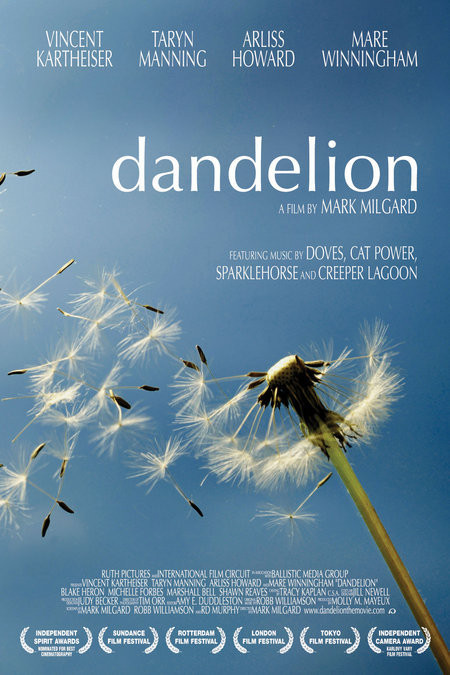 Dandelion 82091