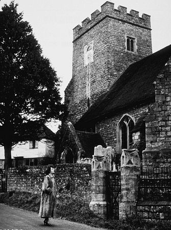 Elizabeth Taylor 82625