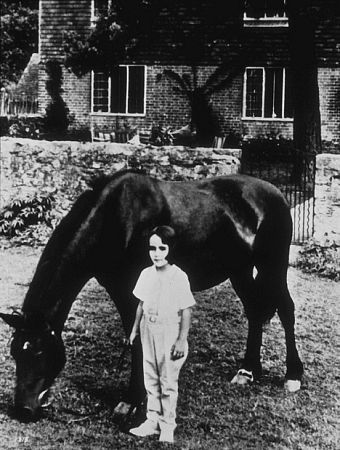 Elizabeth Taylor 82633