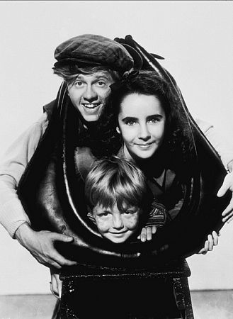 Elizabeth Taylor 82993