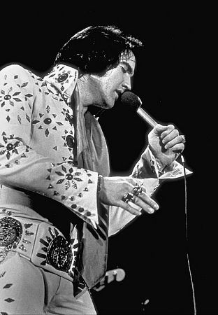 Elvis Presley 5653