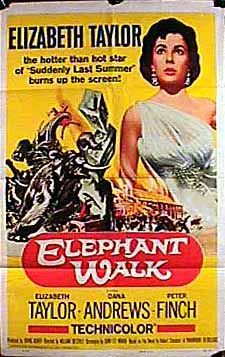 Elephant Walk 1570