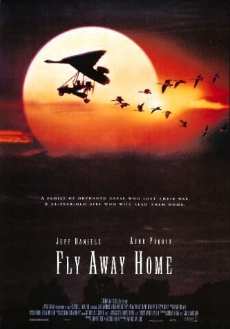Fly Away Home 143736