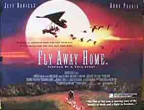 Fly Away Home 9101